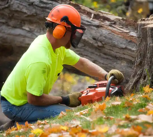 tree services Helena Valley Northeast